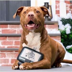 BARK Home Alone Super Chewer‎ Kevin’s TV Dog Toy No Fluff Tug Toss Squeaker